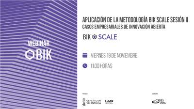 BIK Webinar: Aplicaci�n de la metodolog�a BIK Scale. Sesi�n 2