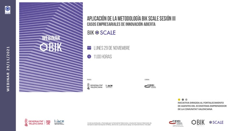 Casos empresariales de innovaci�n abierta - BIK Scale Sesi�n 3