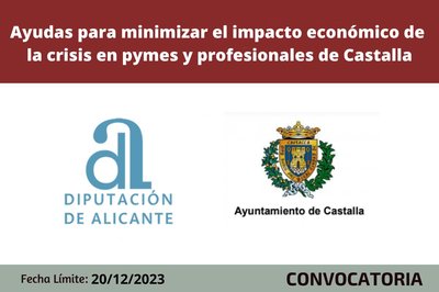 Ayudas para minimizar el impacto econ�mico que la crisis est� suponiendo sobre pymes, micropymes y profesionales de Castalla