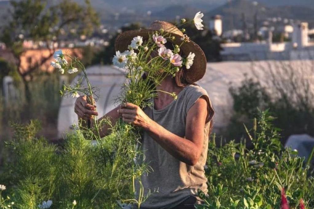 Ayudas para la creaci�n de empresas de j�venes agricultores y agricultoras en Baleares