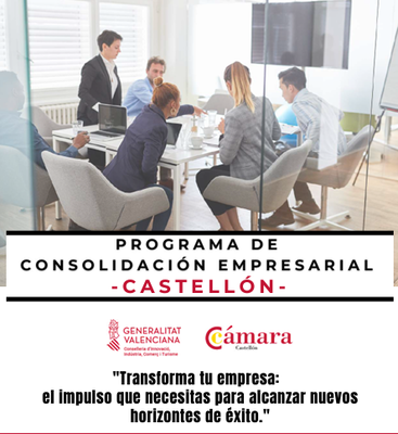 PROGRAMA DE CONSOLIDACI�N EMPRESARIAL