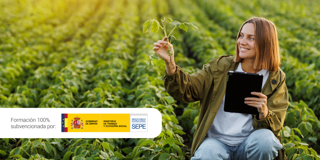 Nuevo curso gratuito: domina el uso eficiente del agua en la agricultura y mejora la rentabilidad de tus cultivos