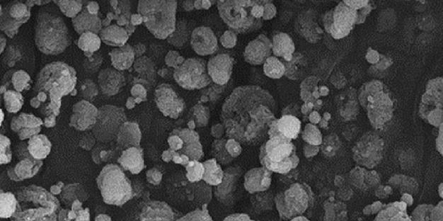 Bioinicia desarrolla EAPG: una tecnolog�a novedosa y disruptiva de micro-encapsulaci�n