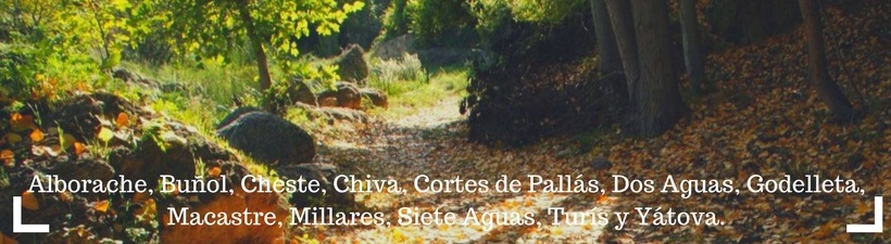 Acuerdo Territorial por el Consejo Econ�mico y Social Comarcal Hoya de Bu�ol-Chiva